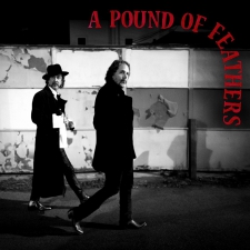 BLACK CROWES-A POUND OF FEATHERS -COLOURED-
