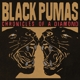 BLACK PUMAS-CHRONICLES OF A DIAMOND
