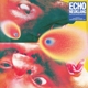 VARIOUS-ECHO NEUKLANG (NEO-KRAUT-SOUNDS 1981-2023)
