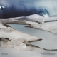 PLASI-FOREIGN SEA
