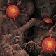 VARIOUS-SHEOL 4-WAY SPLIT