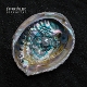 FUTURE PALACE-RESURGENCE