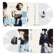 PRIMITIVES-PURE -COLOURED-