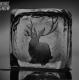 MIIKE SNOW-MIIKE SNOW