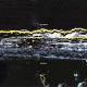 GILLA BAND-PUGNELLO -COLOURED-