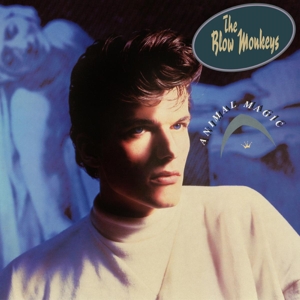 BLOW MONKEYS-ANIMAL MAGIC