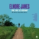 JAMES, ELMORE-SKY IS CRYING -LTD-