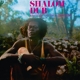 KING TUBBY -AND THE AGGROVATORS--SHALOM DUB