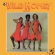 WILD HONEY-UNTAMED