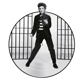 PRESLEY, ELVIS-JAILHOUSE ROCK -LTD-