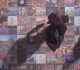 PINK FLOYD-BEST OF -A FOOT IN THE DOOR-