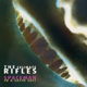 CELIBATE RIFLES-SPACEMAN IN A SATIN SUIT