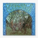 CREEDENCE CLEARWATER REVIVAL-CREEDENCE CLEARWATER REVIVAL -COLO