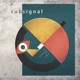 SUBSIGNAL-A POETRY OF RAIN -COLOURED-