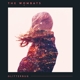 WOMBATS-GLITTERBUG -COLOURED-