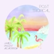 MCMORROW, JAMES VINCENT-POST TROPICAL