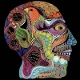 OSEES-CARA MALUCO