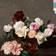 NEW ORDER-POWER, CORRUPTION & LIES