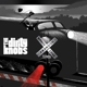 DIRTY KNOBS-WRECKLESS ABANDON