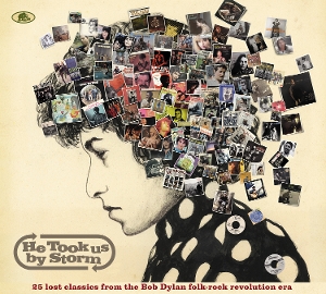 VARIOUS-HE TOOK US BY STORM