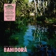 VARIOUS-AFRICA EXPRESS PRESENTS... BAHIDORA