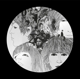 BEATLES-REVOLVER -PICTURE DISC-