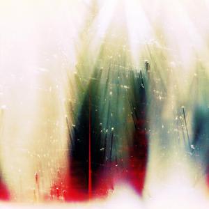 WAR ON DRUGS-FUTURE WEATHER