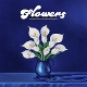 JONES, DURAND & THE INDICATIONS-FLOWERS