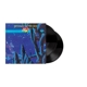 YES-MIRROR TO THE SKY