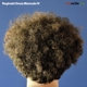 MAMODE IV, REGINALD OMAS-STAND STRONG -COLOUR...