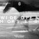 MCMORROW, JAMES VINCENT-WIDE OPEN, HORSES -CO...