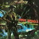 MARLEY, BOB & THE WAILERS-SOUL REBELS