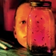 ALICE IN CHAINS-JAR OF FLIES
