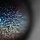 EMPTYSET-BLOSSOMS
