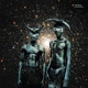 BLACK STAR-NO FEAR OF TIME