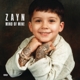 ZAYN-MIND OF MINE -DELUXE-
