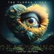 FLOWER KINGS, THE-LOOK AT YOU NOW -LTD-