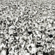 MICHAEL, GEORGE-LISTEN WITHOUT -HQ-PREJUDICE ...