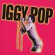 POP, IGGY-IGGY & ZIGGY CLEVELAND 77