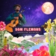 DOM FLEMONS-TRAVELING WILDFIRE