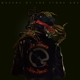 QUEENS OF STONE AGE-IN TIMES NEW ROMAN...