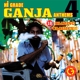 VARIOUS-HI GRADE GANJA ANTHEMS 4