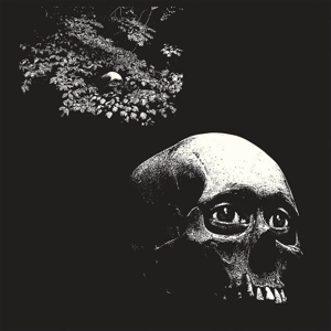 OSEES-A FOUL FORM