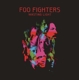 FOO FIGHTERS-WASTING LIGHT