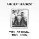 CAR SEAT HEADREST-TEENS OF DENIAL: JOE'S STOR...