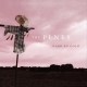 PINES-DARK SO GOLD