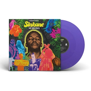 SINKANE-WE BELONG