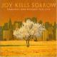 JOY KILLS SORROW-DARKNESS SURE BECOMES THIS C...