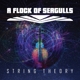 A FLOCK OF SEAGULLS-STRING THEORY