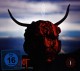 SLIPKNOT-ANTENNAS TO HELL (CD+DVD)